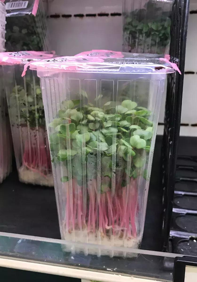 中日零售业,中日零售业有哪些