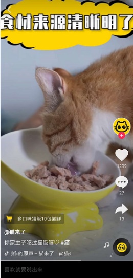 粉丝众测+口碑传播，猫来了如何为品牌赋能？