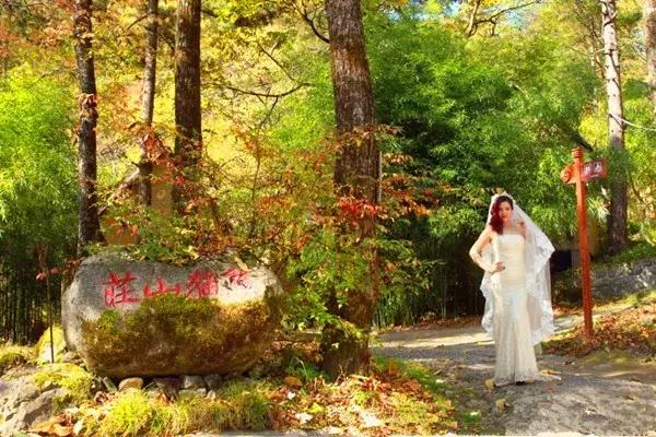 西安周边最好民宿自驾游推荐,西安秦岭周边民宿排行榜前十名