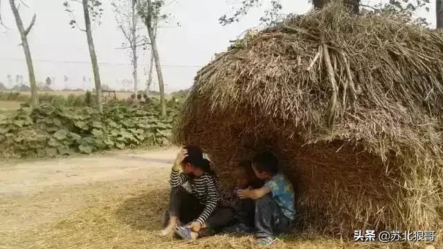 一个在商海沉浮的女人,在红尘漂泊的女人