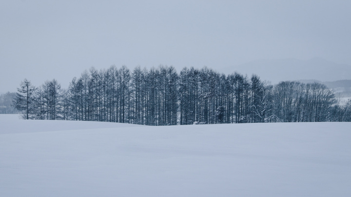 专访|2020米拍摄影奖·年度摄影师FuJi藤井树