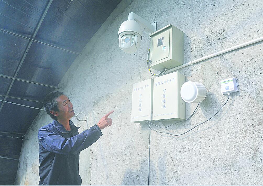 青海建设智能温室大棚多少钱,青海智能温室大棚报价