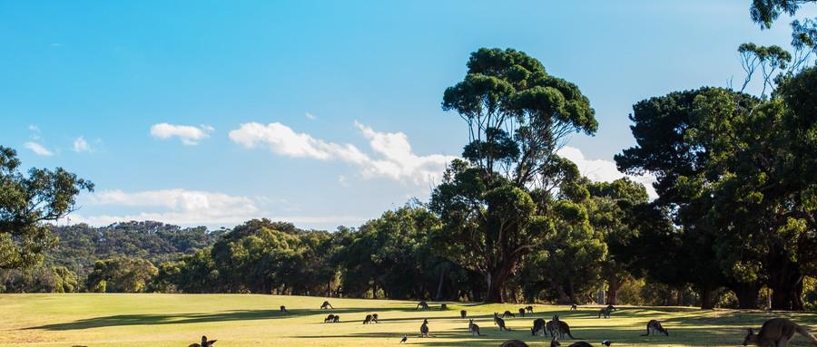 中国吃货最多的国宝,中国人为啥都是吃货