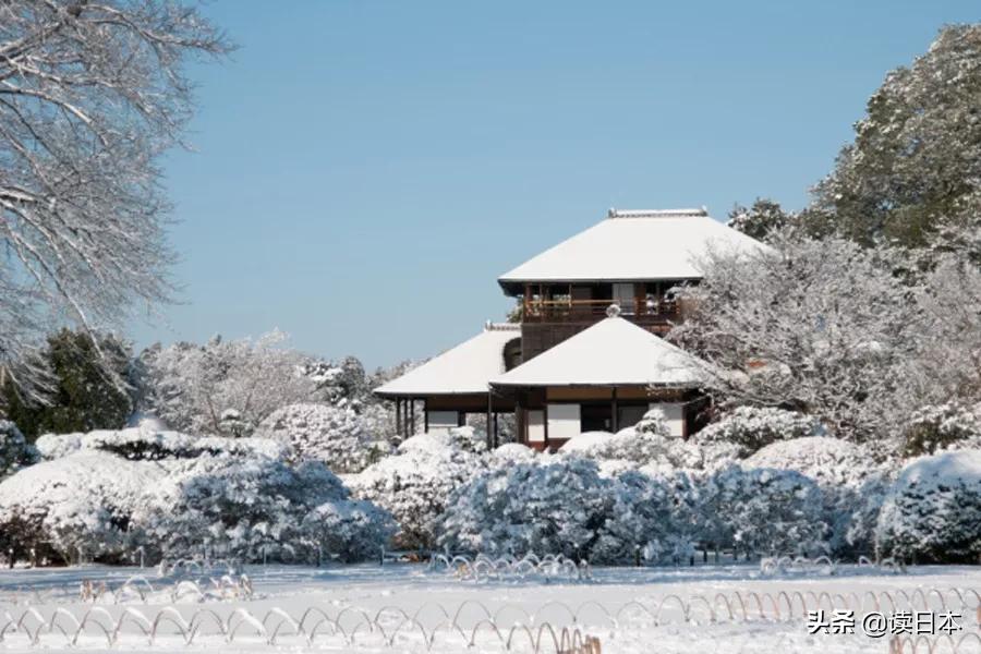 日本茨城连续7年被评魅力最低,可看了真实的她之后,我被美哭了