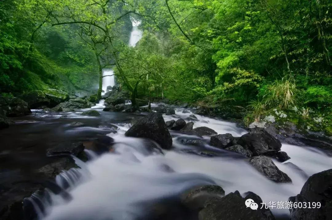 2022年九华山风景区65岁以上免票吗,九华山免票安徽