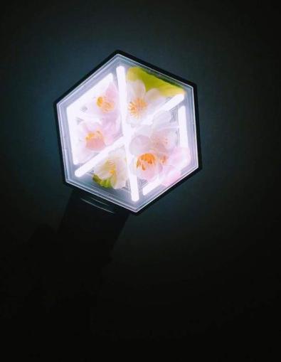 exo爱丽棒最新一代是几代,爱丽棒三代exo