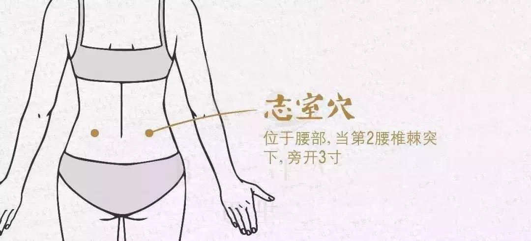 肾阴虚大脑迟钝记忆下降,反应迟钝记忆力差怎样锻炼自己