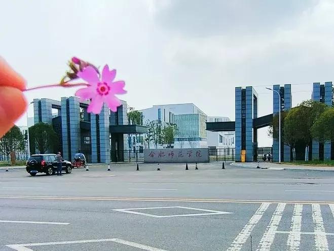 安徽省合肥师范学院2024招生简章,安徽省合肥师范学院今年投档线