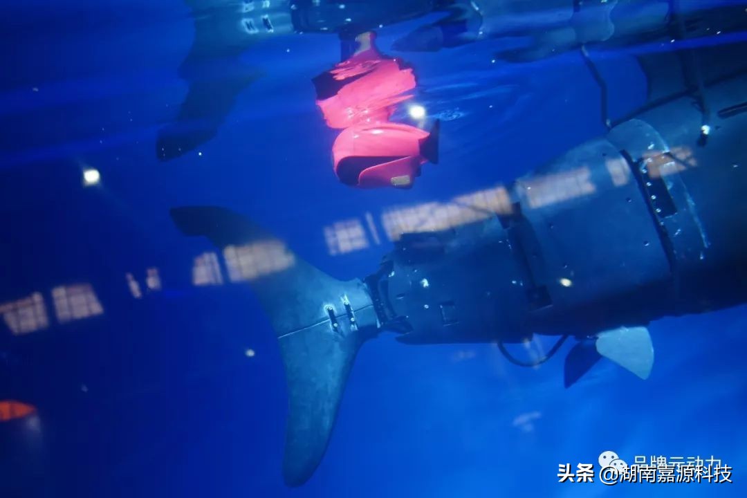 淘宝造物节值得去吗,淘宝上的造物节攻略