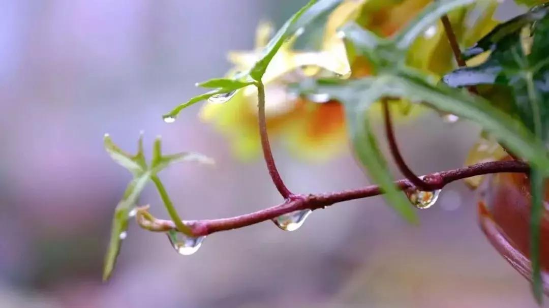 发现女儿偷看自己怎么办,发现女儿偷看电视