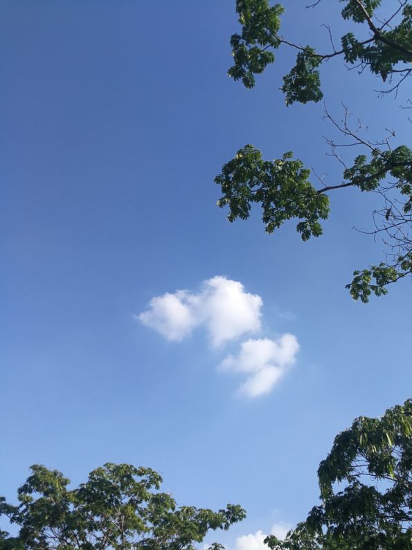 散文一缕墨香一丝牵挂,散文一朵丁香花