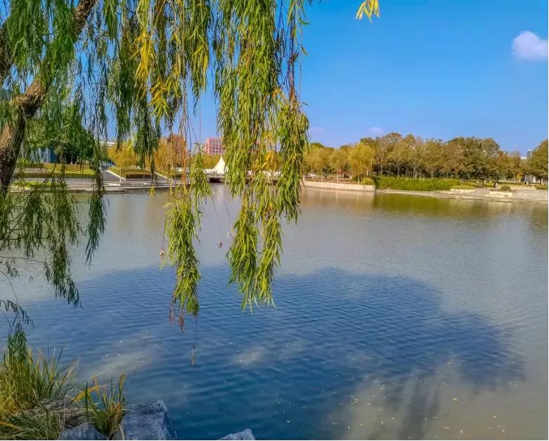 江苏省33所高校排名,江苏省300分大专院校