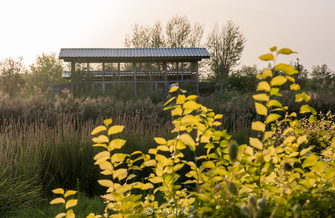 甘肃适合养老的小镇,甘肃最适合养老的县城