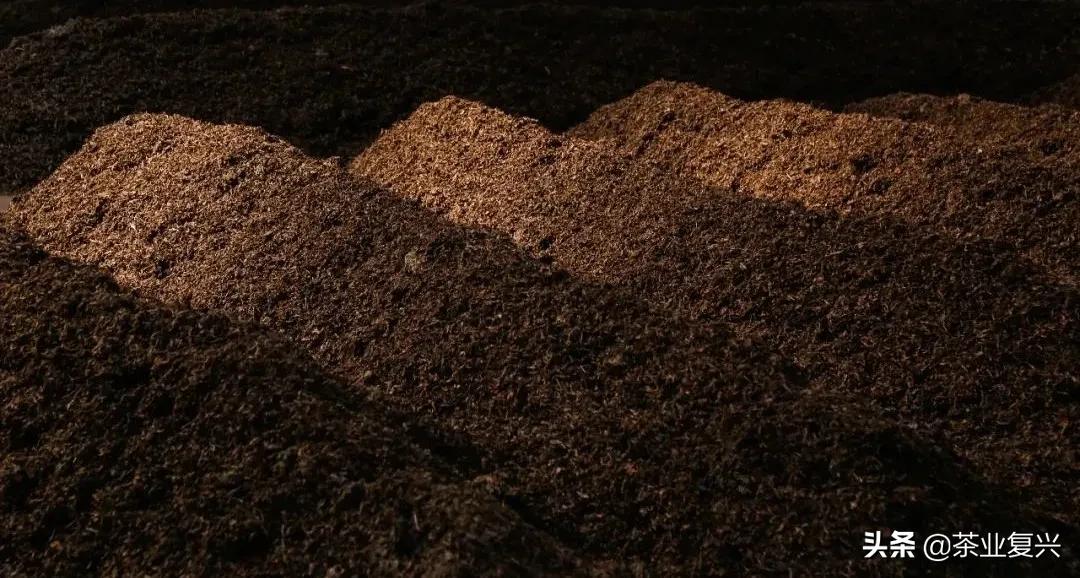 熟茶知识,熟茶的基本知识及讲解