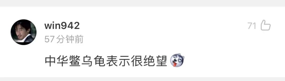 官方明确了!中华鳖、乌龟等不入禁食名录