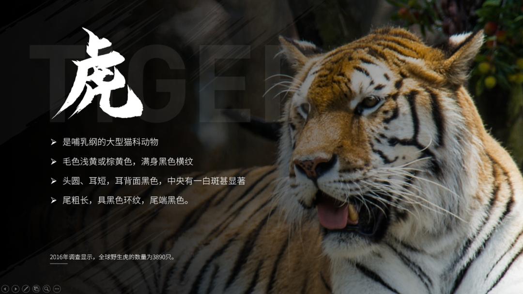 适合做ppt背景的高清大图教学,如何做一个漂亮的ppt背景