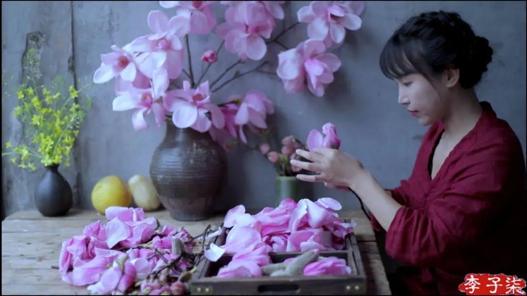 李子柒家乡成旅游景点,李子柒乡愁