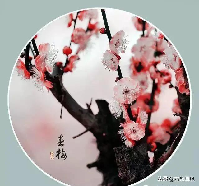 对联应掌握的90个知识点,对联知识点整理