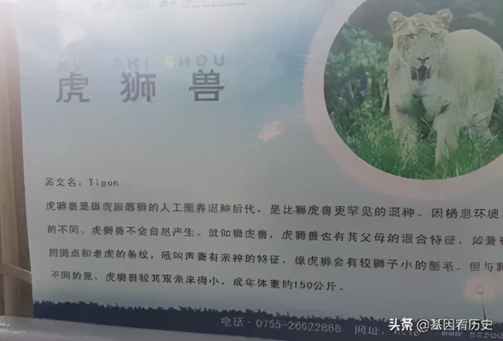 杂交育种怎么样才算成功,杂交过程中遇到哪些问题