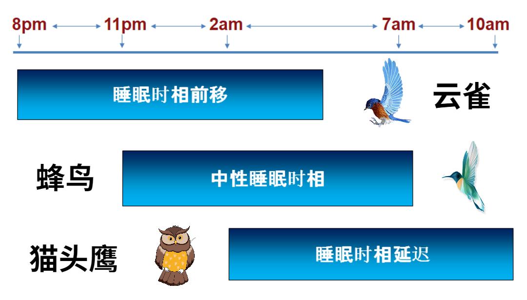每天都是半夜两点才睡觉会怎么样,每天半夜2点才睡