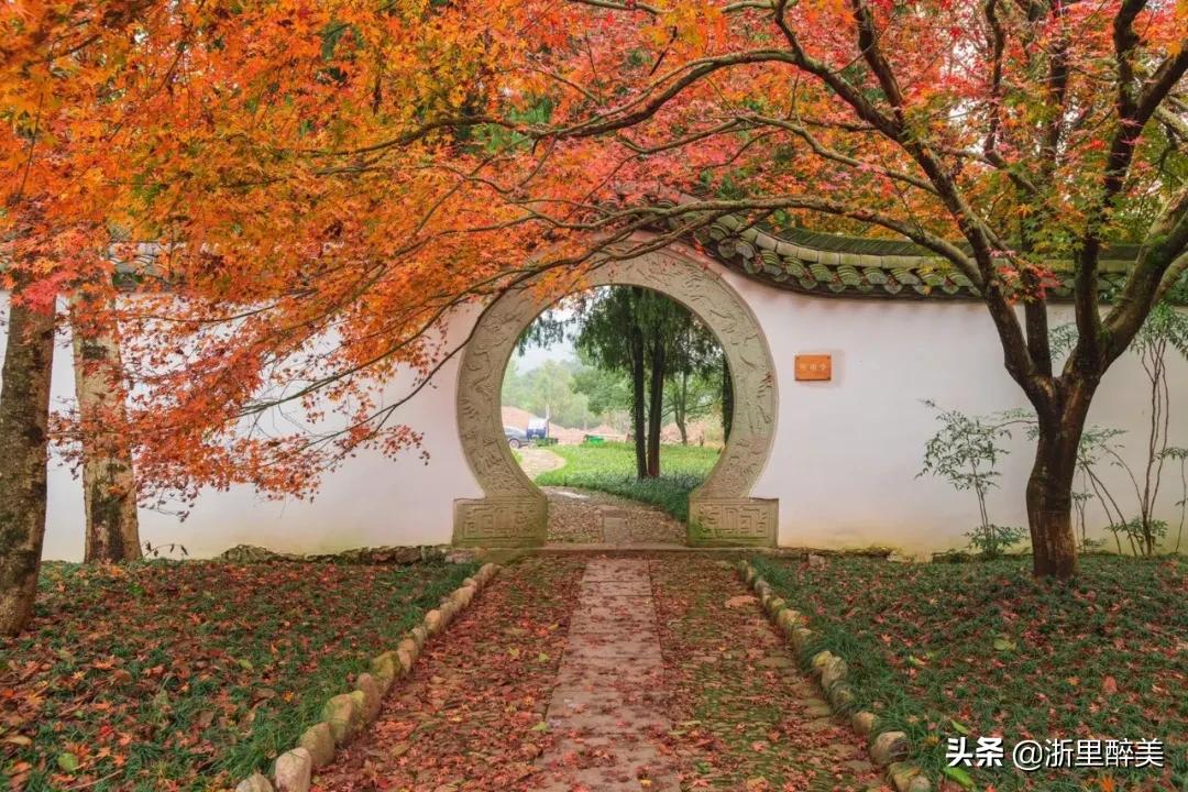 江南温泉第一,江南第一温泉