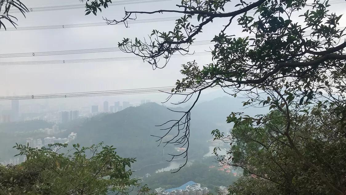 如果你觉得生活太过于平淡,如果你觉得生活太平淡就去改车吧