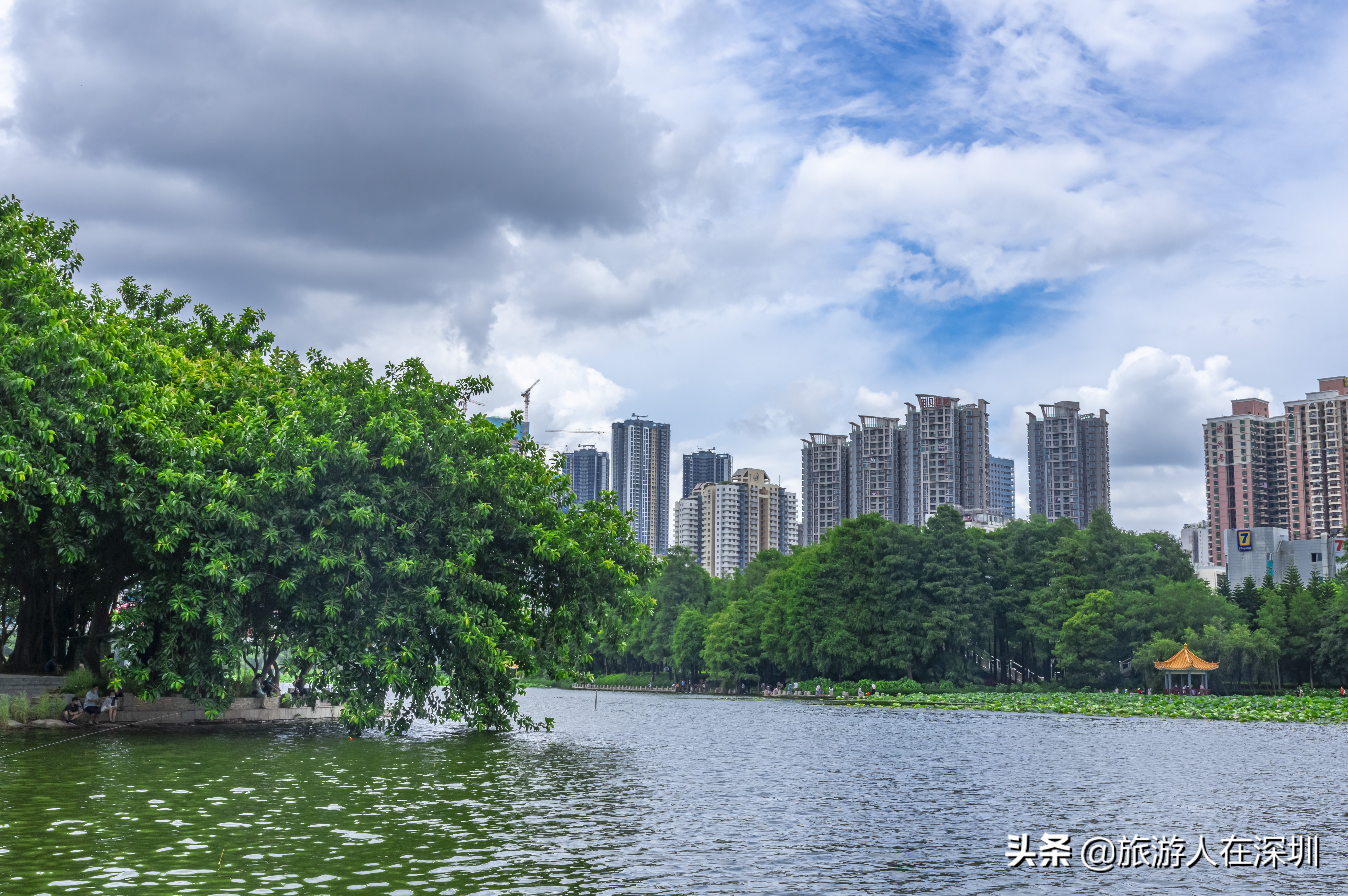 洪湖公园深圳免费景区,深圳市洪湖公园开放