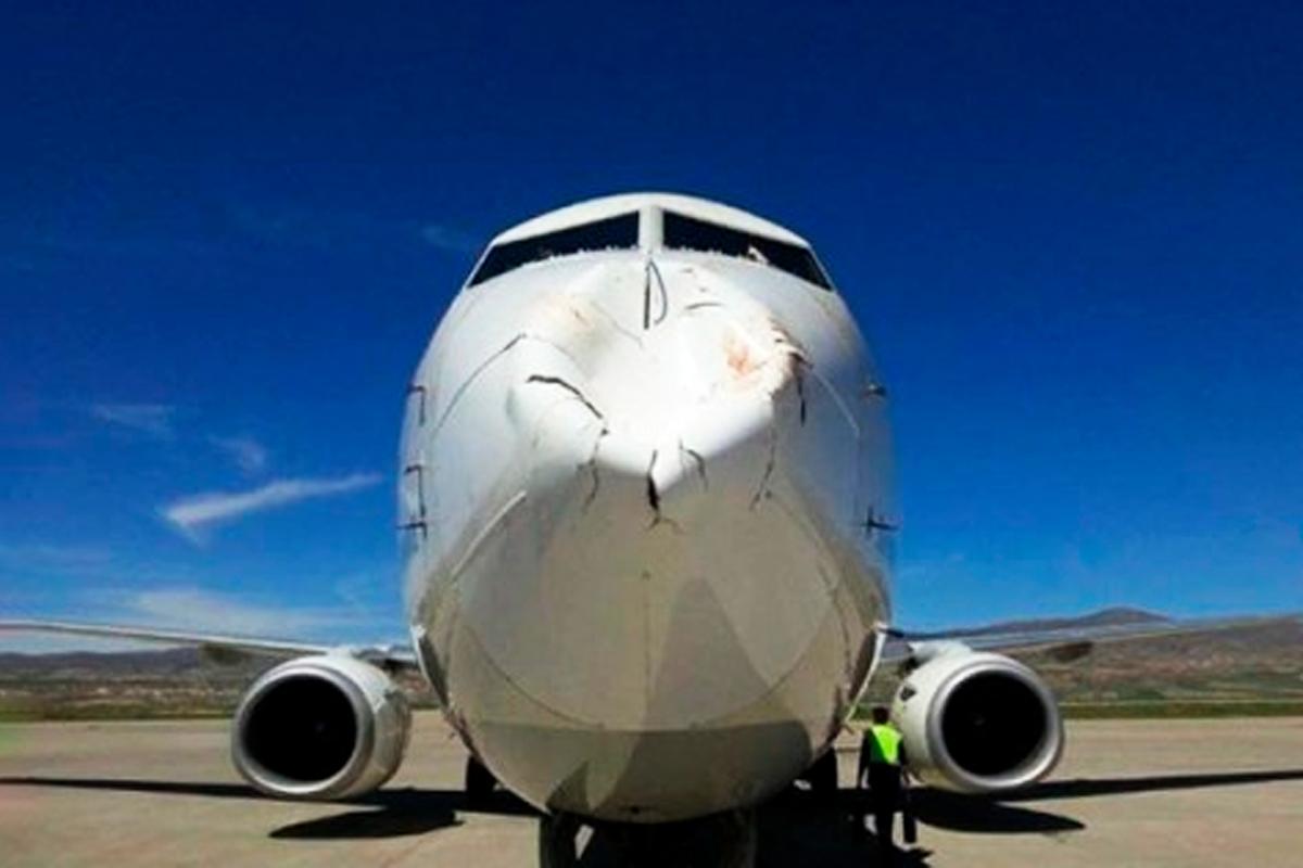 鸟撞到飞机有多严重,鸟撞到飞机成血雾