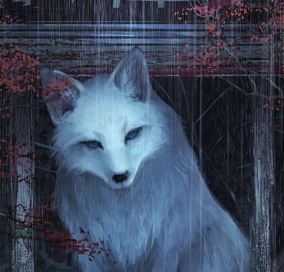 白狐长得竟然如此好看!怪不得狐狸精都是美女