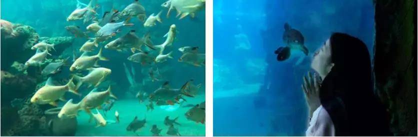 佛山亲子游玩团购推荐,佛山亲子套票一大一小