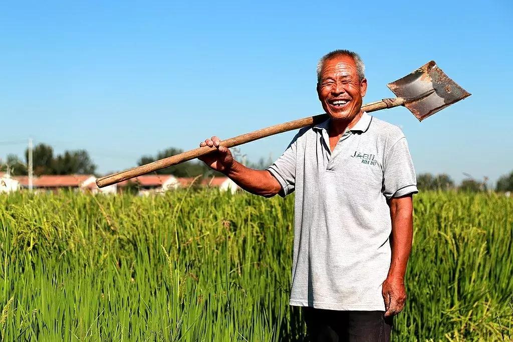 【超燃来袭】武清：70张笑脸，用稳稳的幸福，致敬可爱的祖国！