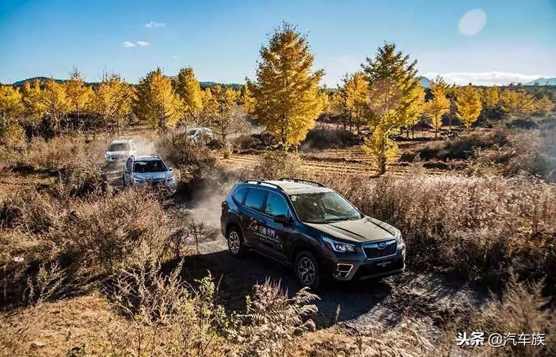 老款森林人对比新款森林人,全新换代森林人