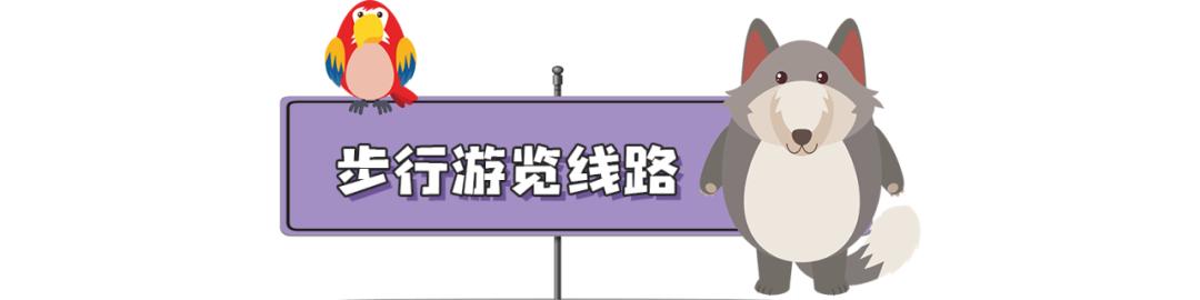 长隆飞鸟乐园长隆熊猫酒店怎么选,周一长隆野生动物园游玩攻略