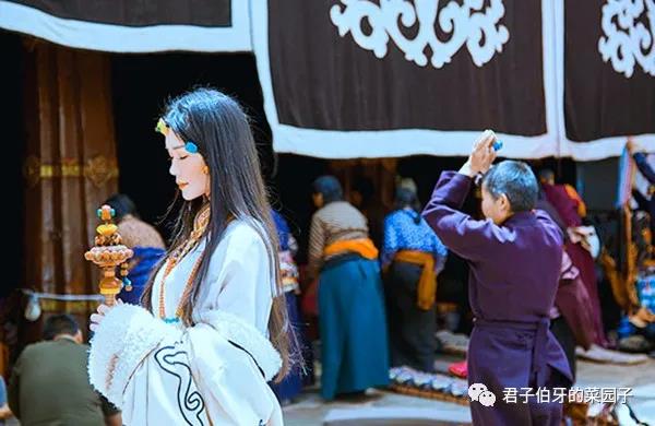 西藏之行布达拉宫,西行散记布达拉宫