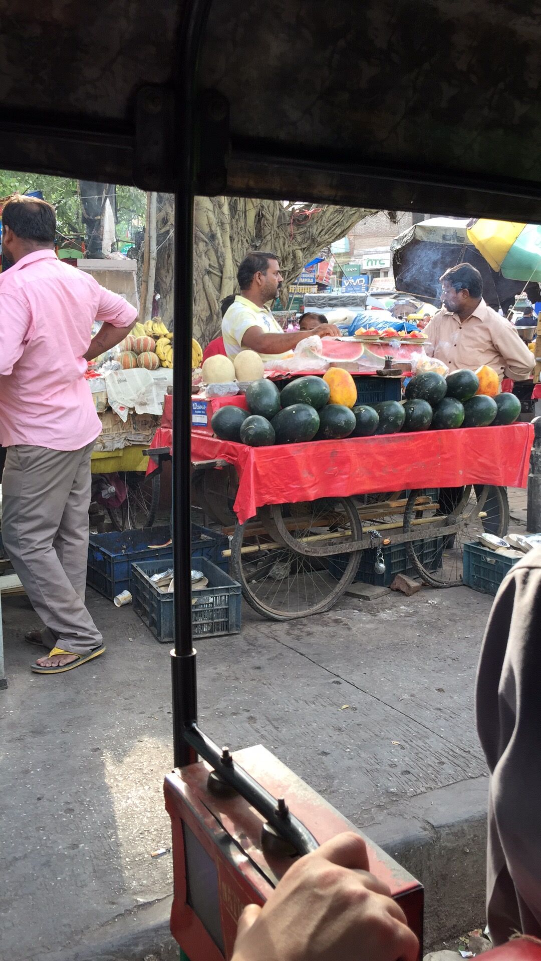 印度见闻17分钟,印度见闻2019