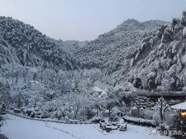 为一姑娘，10年他把30亩荒地打造成梦想家园，让人懂得真爱的意义