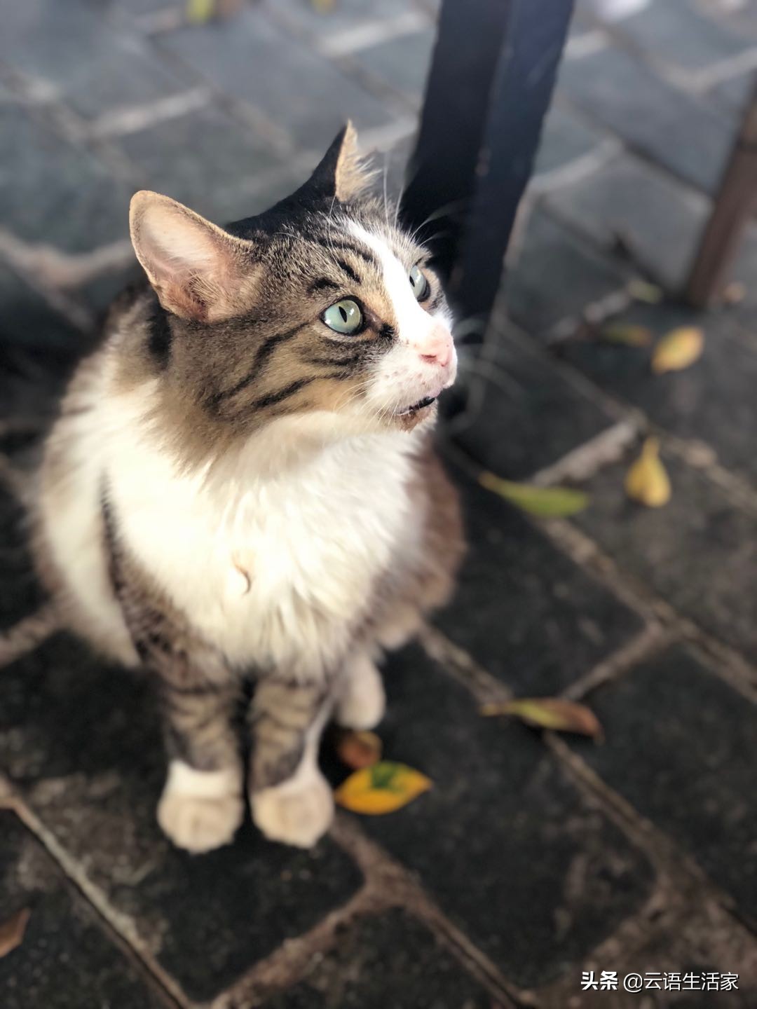 远走土耳其，我在星月之国上天入海（三）