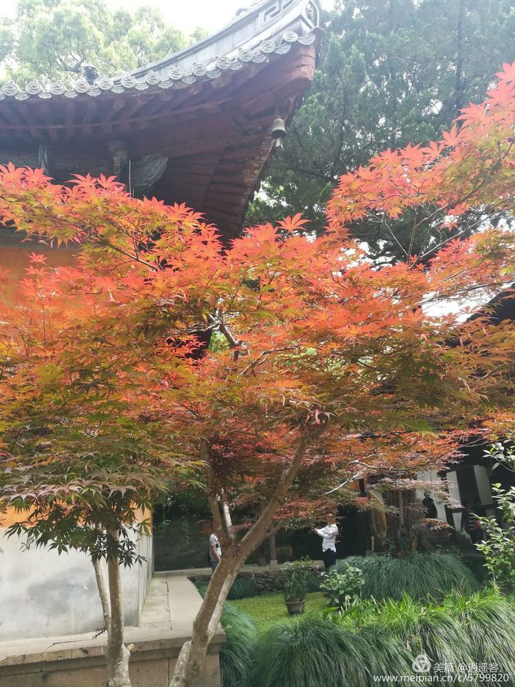台州天台山国清寺要门票吗,天台山国清寺旅游攻略