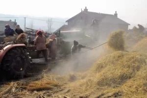 乡情散文故乡的老屋,乡情散文致敬当年的下乡知青