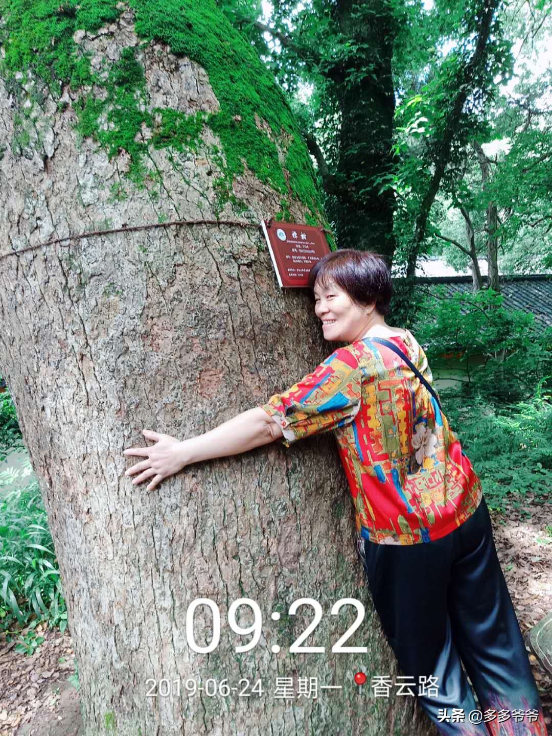 从常州到普陀山自驾游攻略,常州至普陀山多少公里