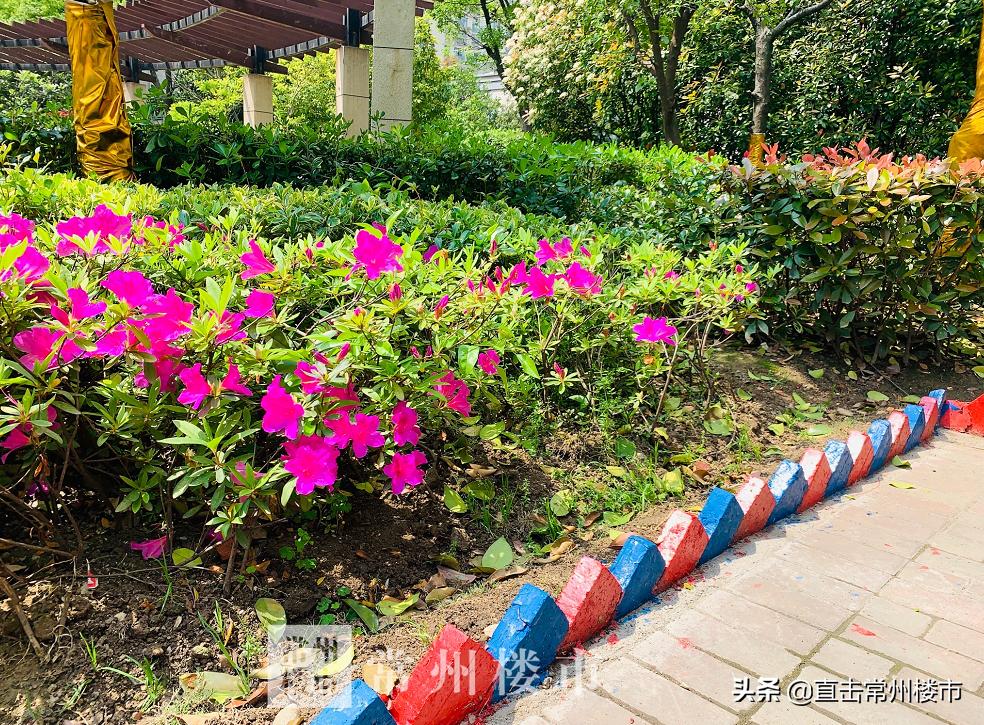 常州楼市最新行情走势,4年房价涨了60万