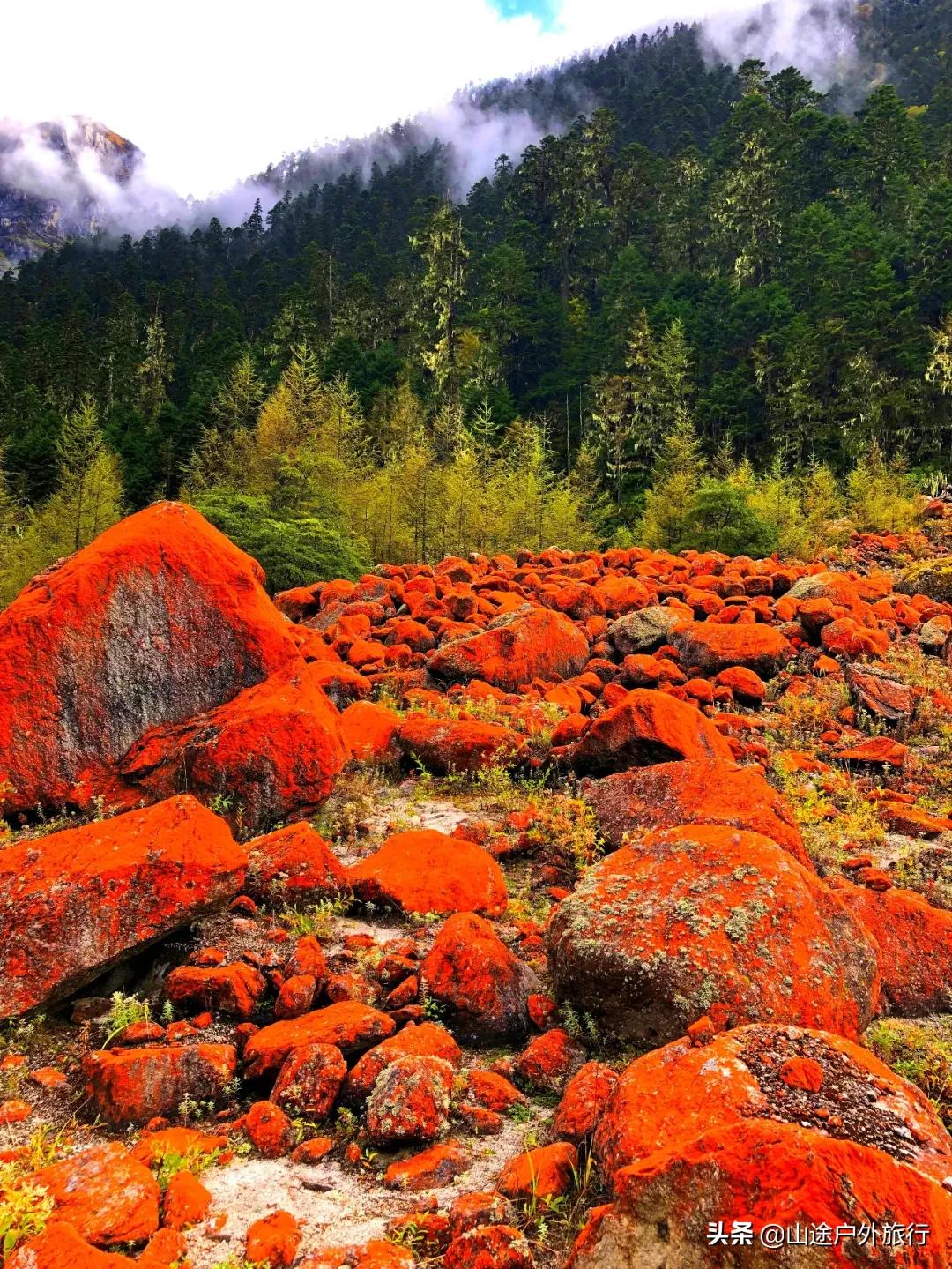 步步惊心的一天,步步惊心12剧情