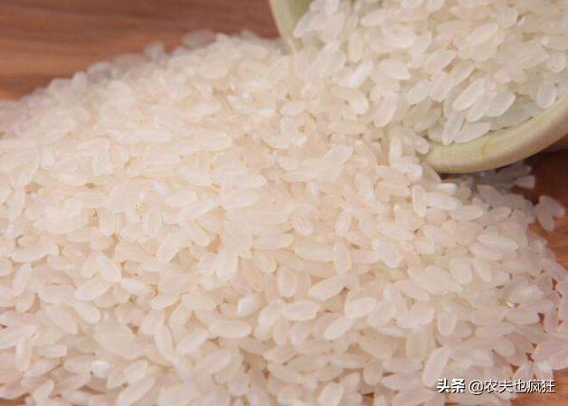 晒谷不晒米的秘诀,晒谷不晒米是什么意思啊