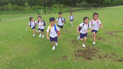 南山区外国语学校(集团)VS太子湾育才、深圳湾学校孰优孰劣