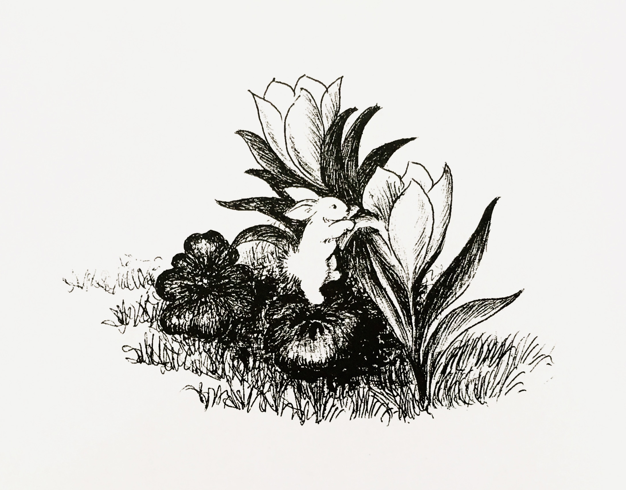 17张一只铅笔就搞定的黑白插画，画风简单，100年来却让人着迷