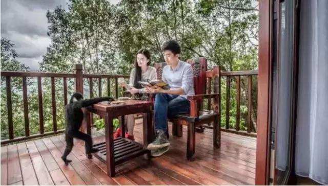 云南最美十大酒店,云南最有品质酒店