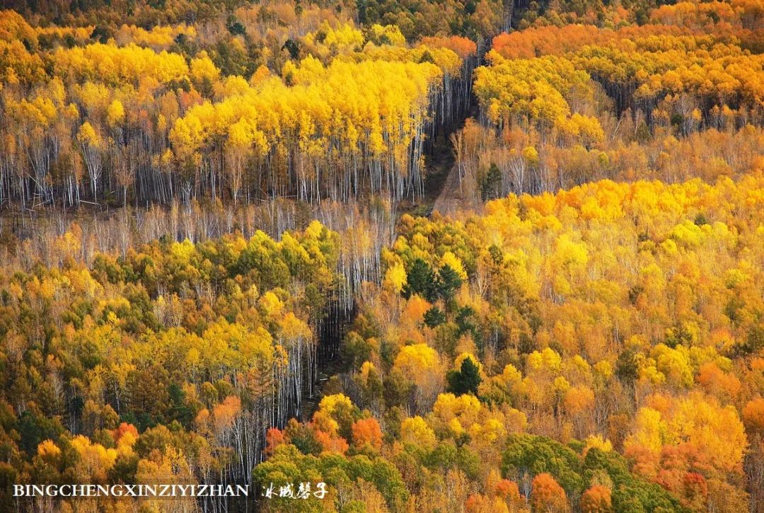 深秋的大兴安岭色彩斑斓,大兴安岭的秋天美景