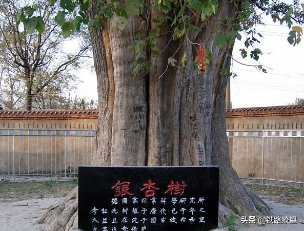 安徽省临泉县，1935年建县，人口二百余万，全国文化先进县