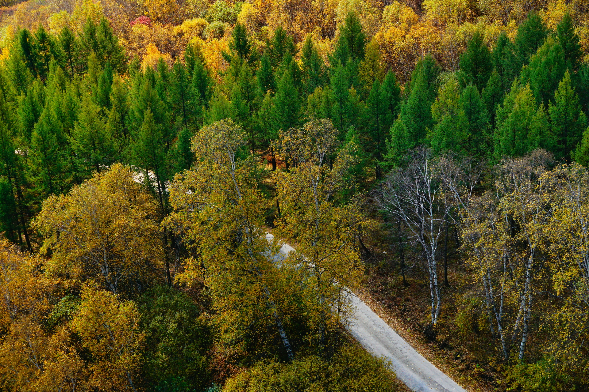 京北第一天路千松坝国家森林公园,千松坝森林公园和京北第一天路