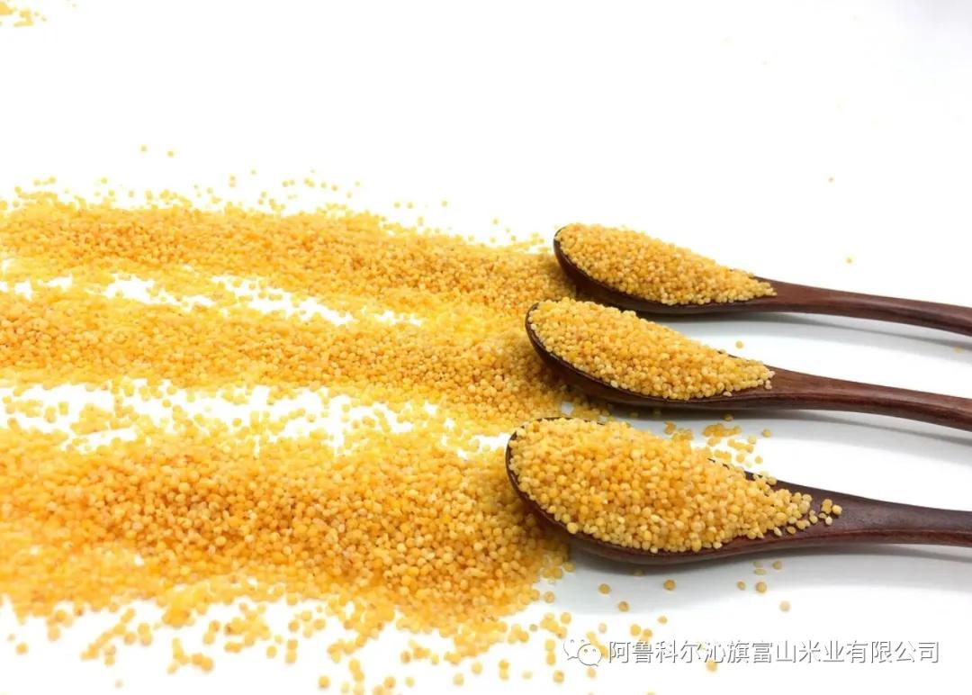 富山小米你了解吗？